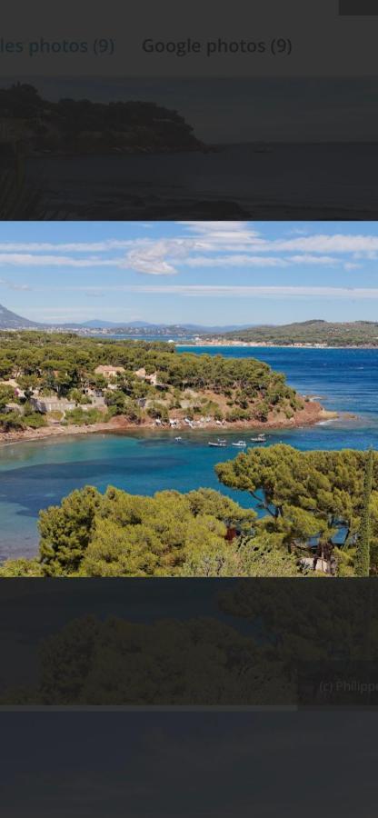 Charmant Studio Dans Villa - Jardin Privatif . La Seyne-sur-Mer Extérieur photo